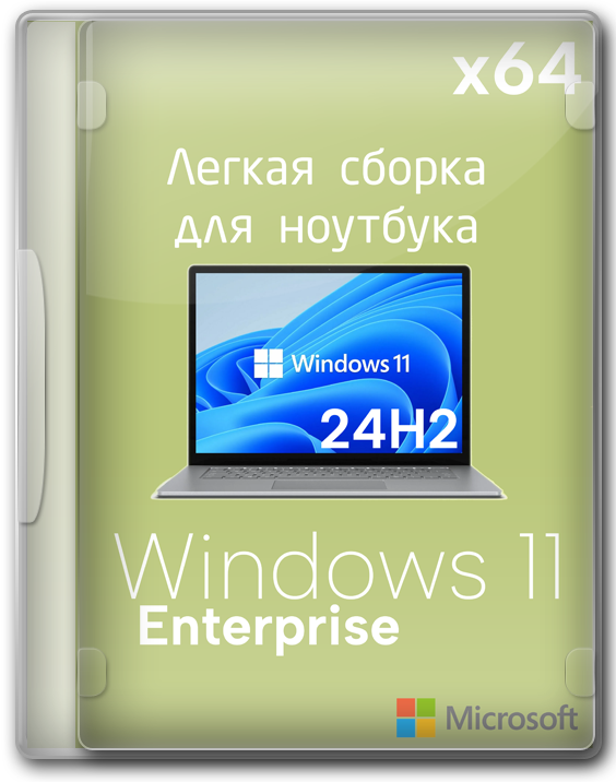   Windows 11   24H2 x64  